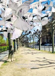 Postkarte Südliches Mainufer