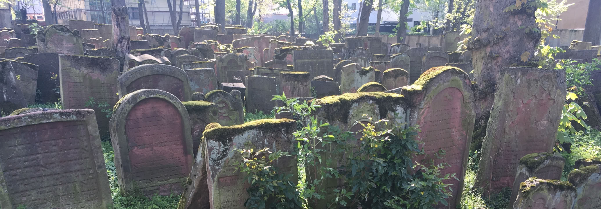 alt="Stadtfuehrungen zur jüdischen Geschichte in Frankfurt"