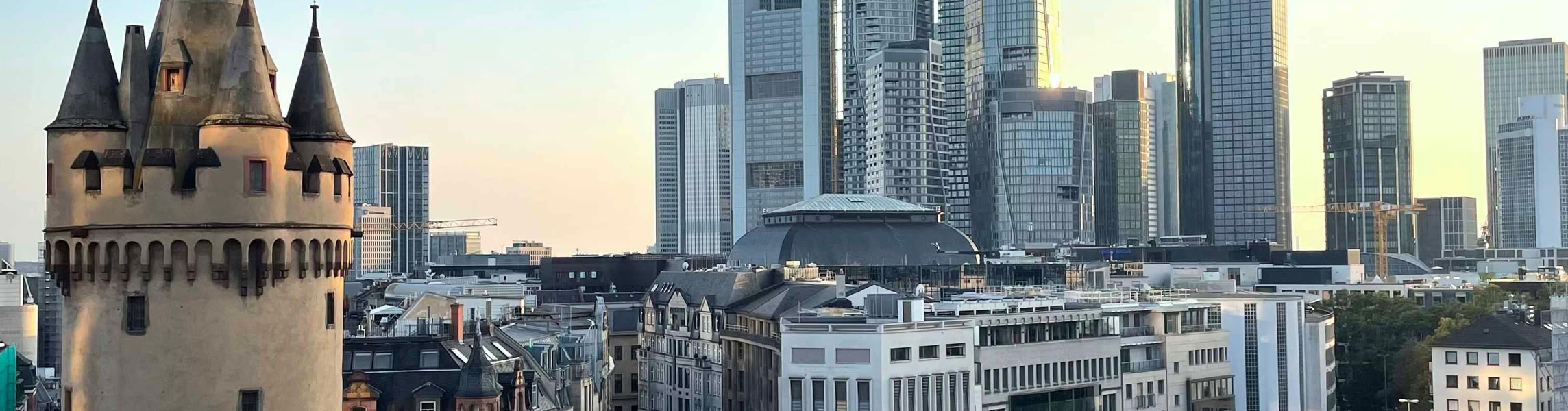 Wolkenkratzer-Fuehrung in Frankfurt am Main