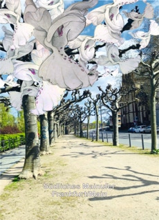 Postkarte Südliches Mainufer