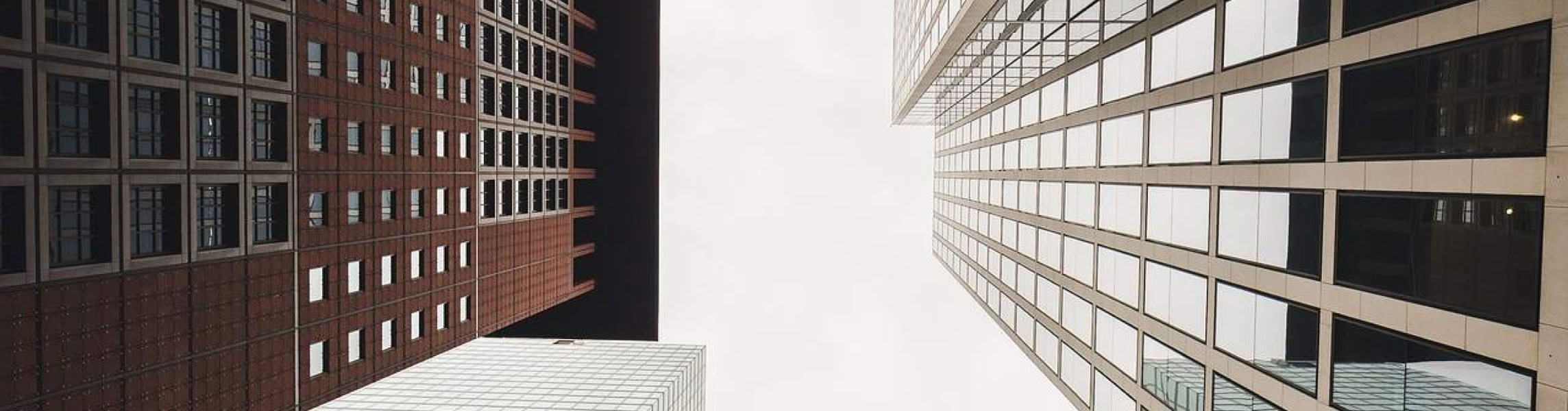 Architektur-Fuehrungen in Frankfurt am Main